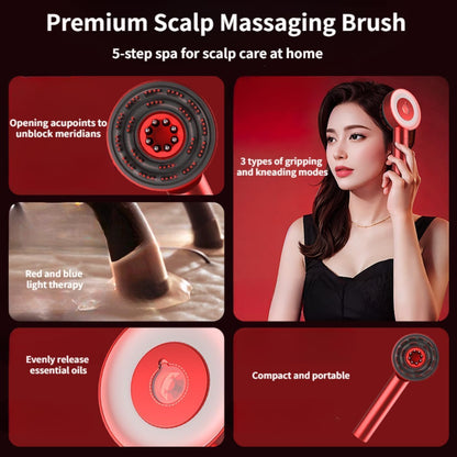 Electric Scalp Massager & Hair Oil Applicator